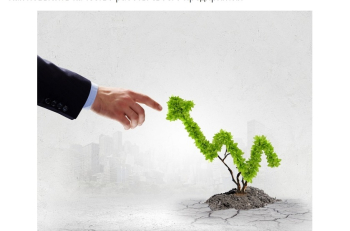 Development and optimization of business processes: what every owner needs to know