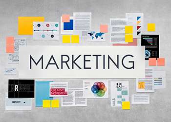 What is the VFP of the Marketing Department?